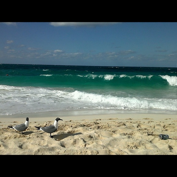 Meet your Posher, Tammii - Picture 2 of 6